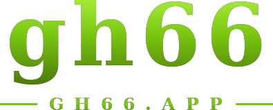 gh66 logo